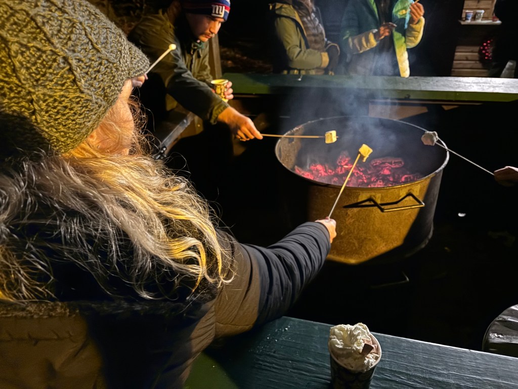 roasting marshmallows over coals