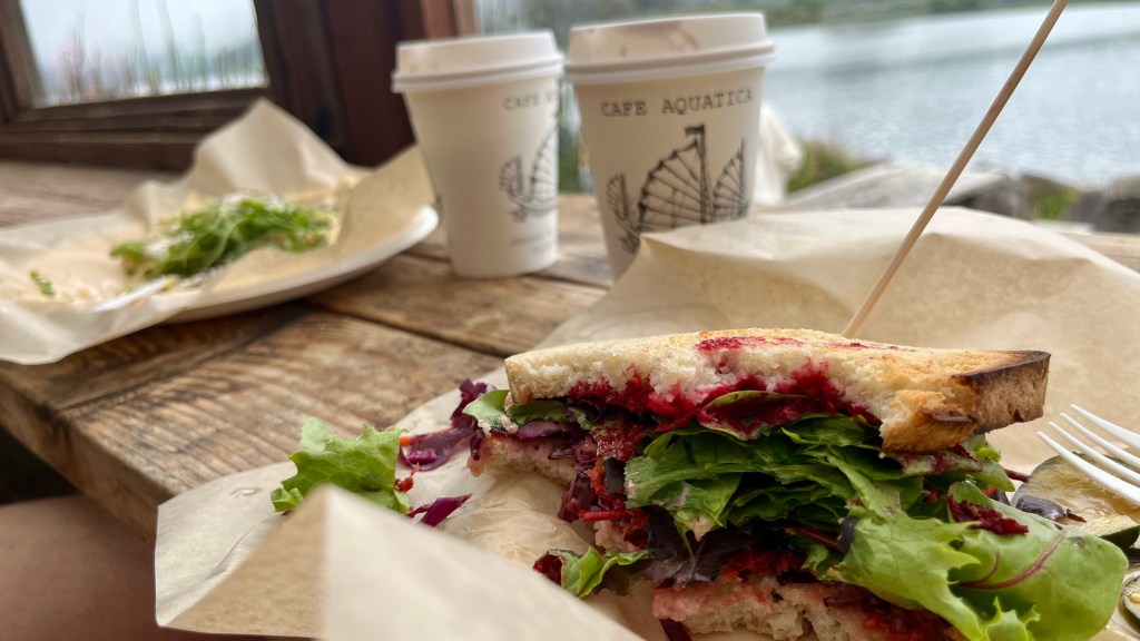 partially eaten sandwich with beets and lettuce in front of two coffee cups and a view of tomales bay